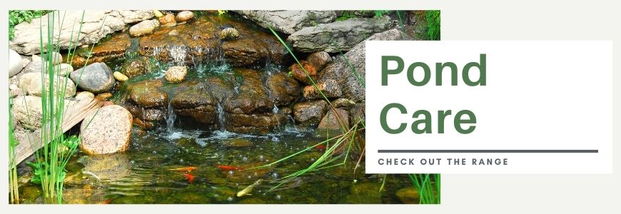 pond care banner